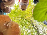 Kinderen in het bos kijken beneden naar de camera.